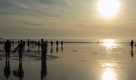 CSUK SUMMER UPDATE
